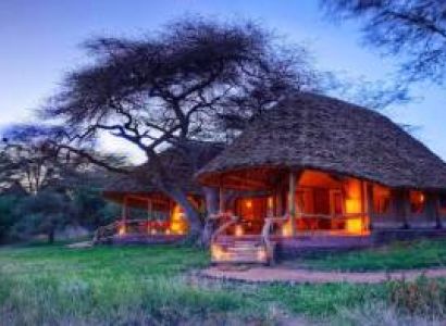 13 Days East Africa: – Nairobi/Amboseli N. Park/Loisaba Conservancy/Masai Mara Na.Reserve/Arusha/T