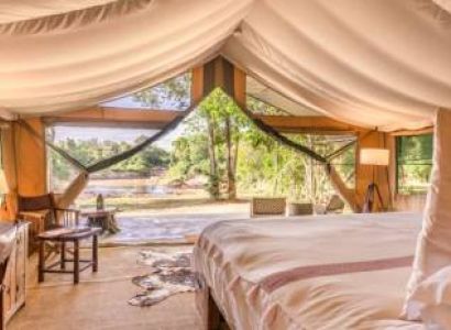 Governors Camp Safari Option