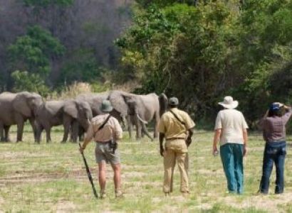 3 Nights - 4 Days Selous Game Reserve - By Air