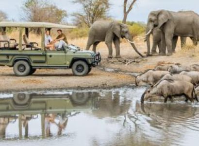 Day Trip - Lake Manyara National Park