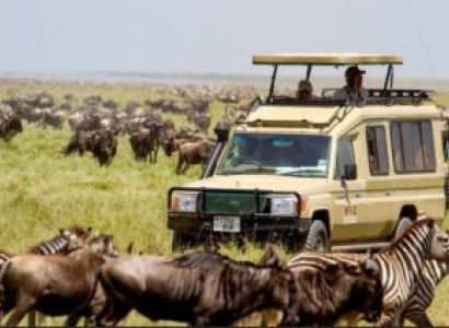 Day Trip - Tarangire National Park