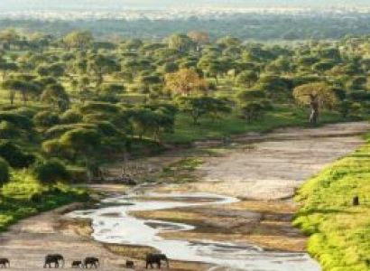 6 Nights Drive In Fly Out - Arusha - Tarangire - Manyara - Ngorongoro - Serengeti Tour
