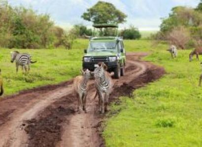 Day Trip - Arusha National Park