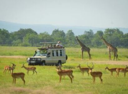 8 Nights - 9 Days Selous - Ruaha - Mikumi - By Road