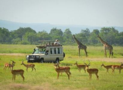 1 Night - 2 Days Mikumi National Park Tour
