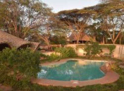 6 Nights/7 Days Flying safari Package - The Rhino Ridge Trails Safari.