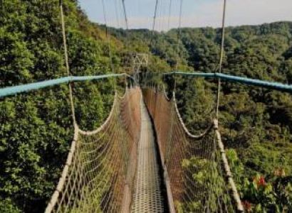 3 Days Chimpanzee Trekking and Canopy Walk Safari Adventure