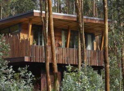 5 Days Wildlife Safaris, Boat Cruise and Golden Monkey Trekking Experience.