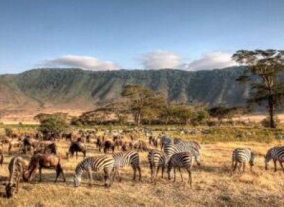 Ngorongoro & Arusha Budget Holiday - 2 Days