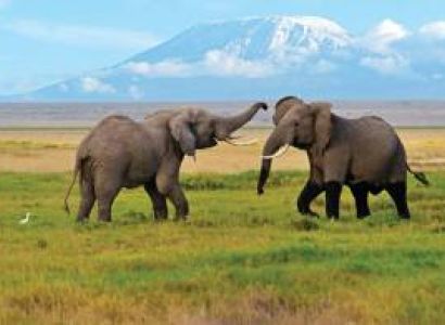 3-Day Masai Mara Classic Wildlife Safari Adventure