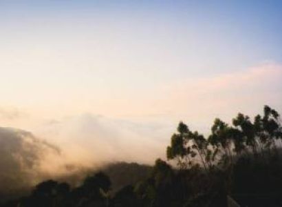 Munnar Tour 2 Days 1 Nights 7 Pax Minimum