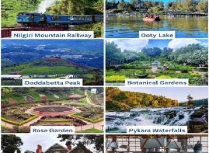 5N 6D Hill station (Kodaikanal, Ooty