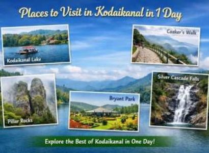 5N 6D Hill station (Kodaikanal, Ooty