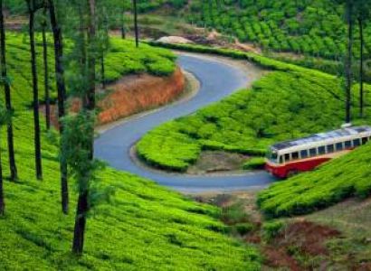 1N - 2D Munnar Tour Package