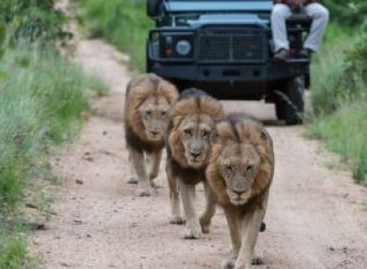 5-Day Awesome Kenya Luxury Safari Tour
