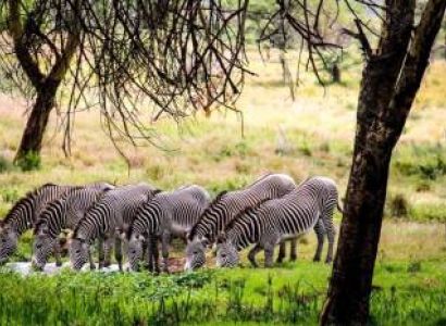5-Day Luxurious Mara - Nakuru - Naivasha And Hells Gate Tour