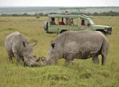 3 Day Ol Pejeta Wildlife Encounter Tour