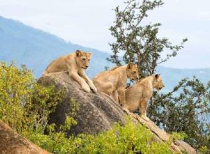 3 Day Tsavo East Red Elephant Safari Experience Tour