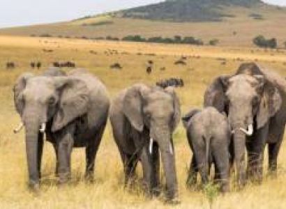 7-Day Aberdare - Samburu And Masai Mara Luxury Safari Tour