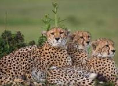 4 Days Safari - Amboseli National Park Tour