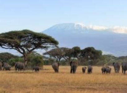 10 Days Masai Mara & Samburu & Nairobi & Nanyuki & Garissa Luxury Tour Package