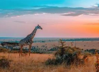 3 Days Masai Mara Luxury Tour Package