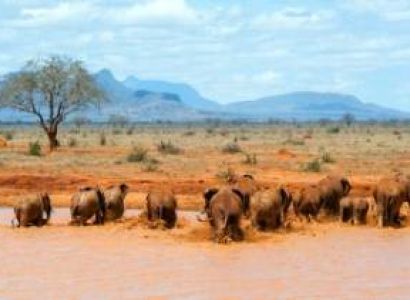 3 Days Luxury Tour Mombasa & Nairobi