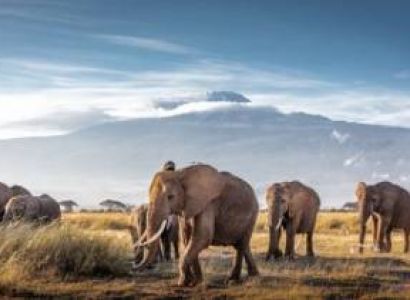 5 Days Luxury Tour Nairobi & Masai Mara & Nakuru