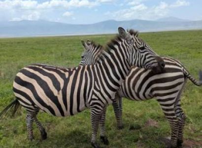 5-day African Safari Tour Wilderness Adventure