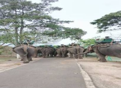 Kaziranga and Meghalaya Signature Journey 6 Night 7 Days