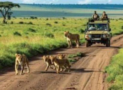 11 Days Kenya Safari Tour With Diani Beach