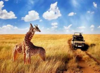 5 Days Big Five Tanzania Safari Tour