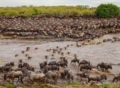 8 Days Serengeti Migration Safari Tour