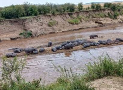 5 Nights / 6 Days Classic Kenya Safari