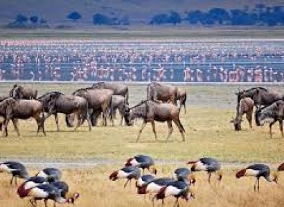 2 Nights 3 Days, Tarangire NP, Lake Manyara NP & Ngorongoro Crater