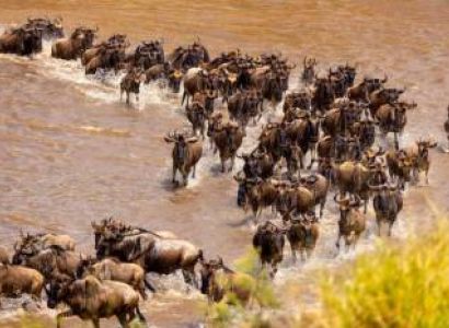Package 4: Great Migration (5D/4N)