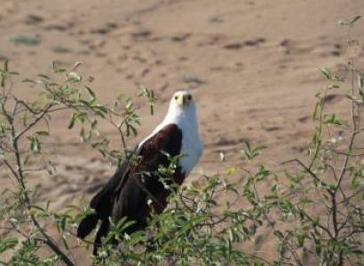 3 DAY LUXURY SAFARI TO LAKE MANYARA, NGORONGORO CRATER AND TARANGIRE