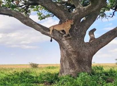 Explore Tanzania