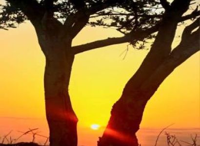 3n and 4 Days At Amboseli Tour