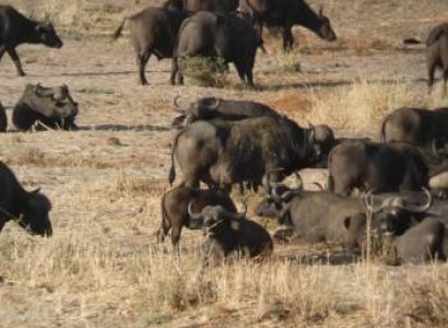 Ngorongoro Crater Safari 4 Days Itinerary Tour