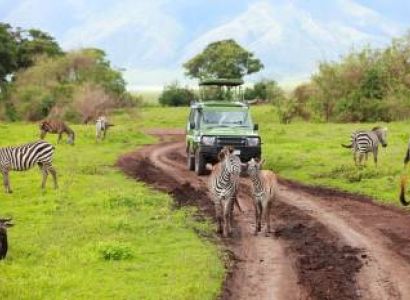 Tanzania Safari - 4 D