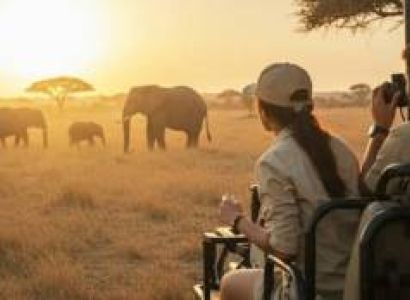 3 Day Serengeti Group Joining Safari Arusha Departure on 4x4 Land Cruiser
