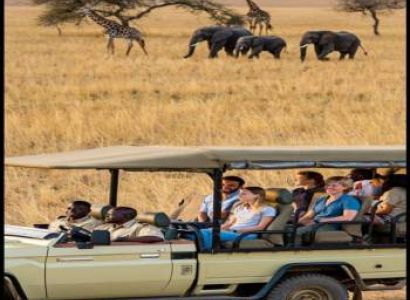 3-Day Tarangire, Lake Manyara & Ngorongoro Safari (Arusha Departure) on 4x4 Land Cruiser