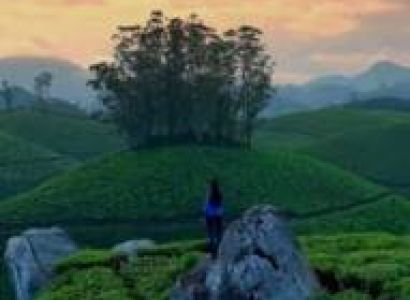 Alappuzha & Alleppey & Kovalam & Munnar & Thekkady & Thiruvananthapuram & Trivandrum 7 Days Standard Holiday Package