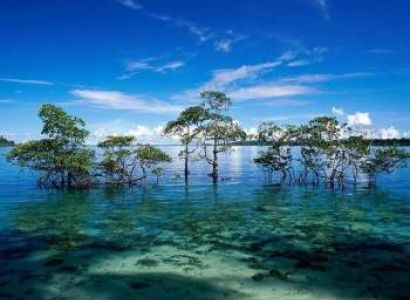 Andaman Islands Tour Package 6 Nights - 7 Days