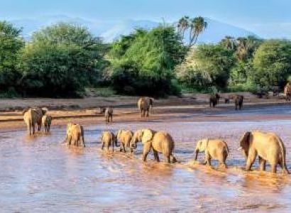Samburu Tour Package - 6 Days Budget