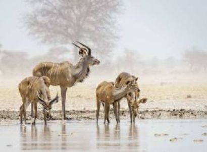 Samburu Shaba Safari Tour