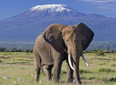 Nairobi Budget Tour Package - 10 Days