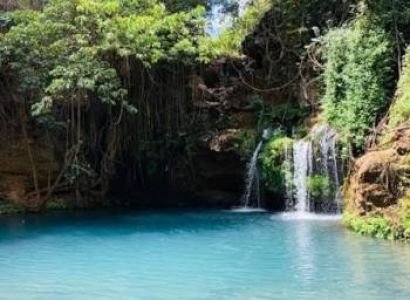 Mount Kenya Forest Escape Tour