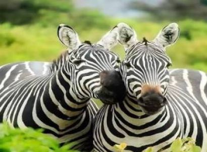 Arusha City Tour Itinerary (Full Day)